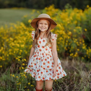 Girls Pumpkin Dress, Pumpkin Patch Dress, Girls Fall Clothing, Fall Outfit, Thanksgiving Girls Dress, Thanksgiving Outfit