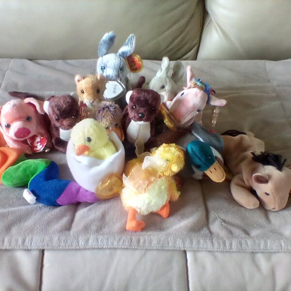 Beanie Display Case Etsy