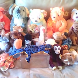 Display case ty beanie babies - Etsy 日本