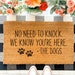 Dogs Know You're Here Doormat / Funny Doormat / Welcome Mat / Dog Doormat / Door Mat  / Spring Decor / Farmhouse