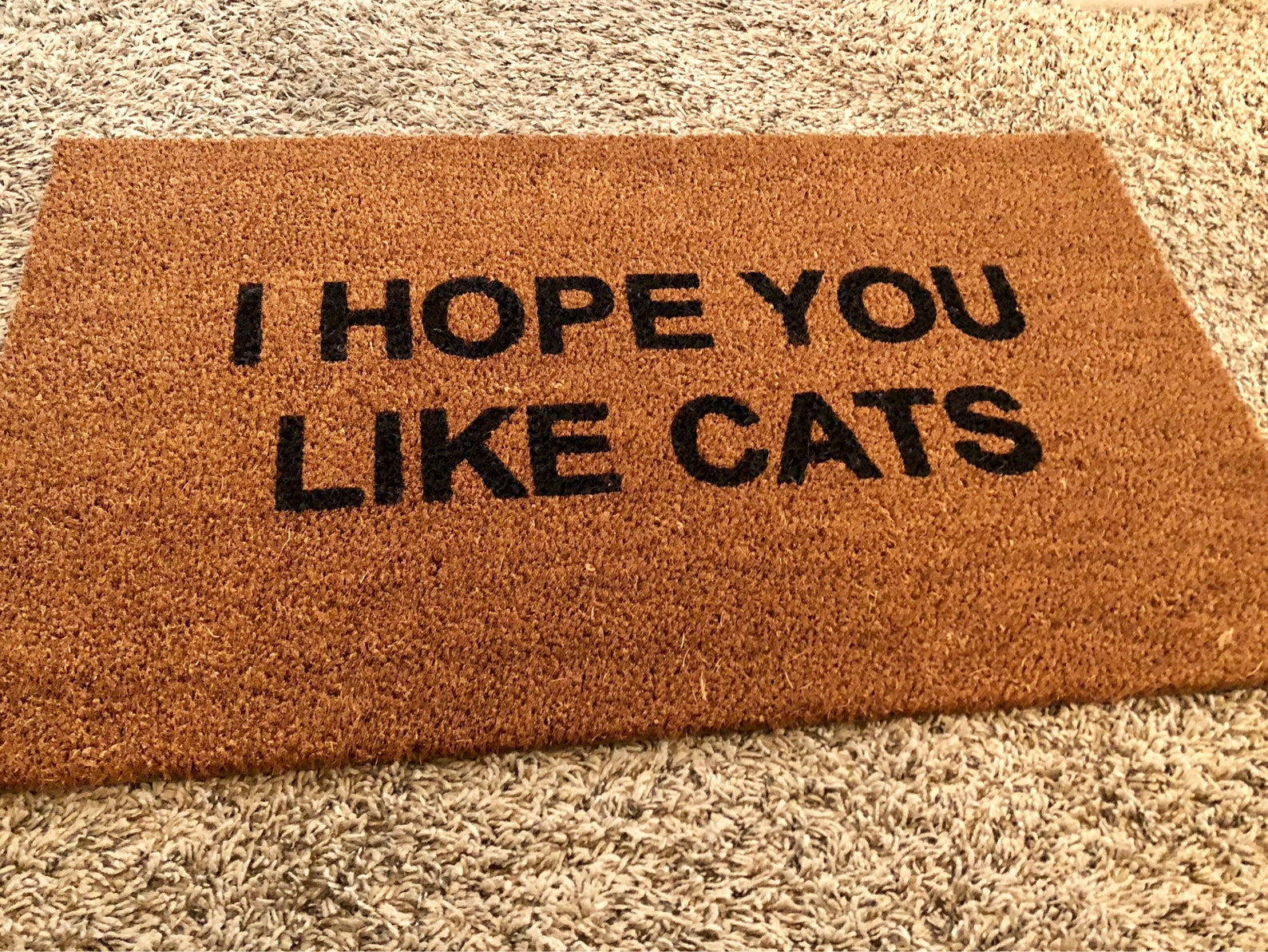 I Hope You Like Cats / Cat Doormat / Cat Mat / Cat Etsy