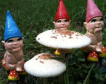 Baby Gnome - choice of colours