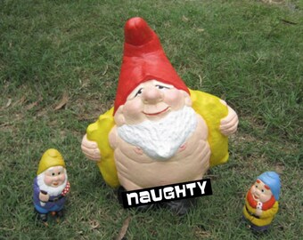 Bernie the Flasher Gnome