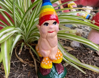 Rainbow Baby Gnome