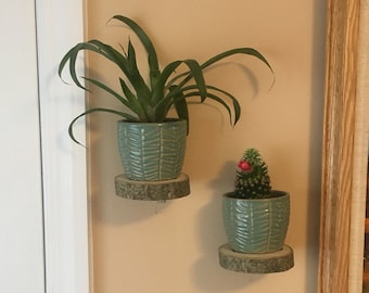 Oak Wood Slice Floating Plant Shelf: Wall Decor Set