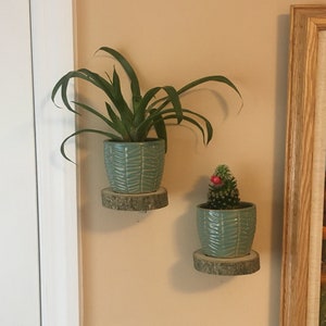 Oak Wood Slice Floating Plant Shelf Set Of Two Perfect for Living Room, Den, Study