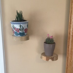 Beautiful Miniature White Birch Wood Slice Floating Plant Shelf Set Of Two Perfect for Living Room, Den, Study