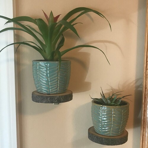 Small Round Shelf Plant Shelf Wall Plant Holder Floating Etsy UK