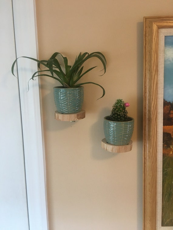Wohnzimmer Weiß Birke Holzscheibe Floating-Plant-Regal-Set Mit Zwei Stück