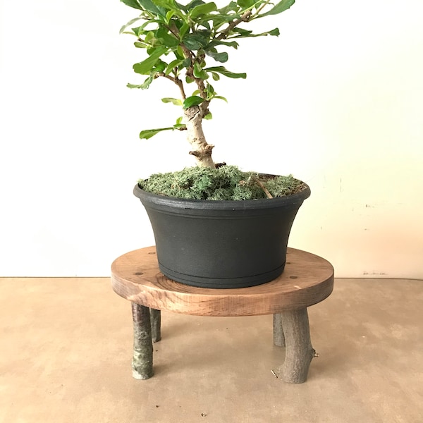 Bonsai Plant Stand,Miniature Wood Table, Unfinished You Choose Stain Color Perfect for Living Room, Den, Study