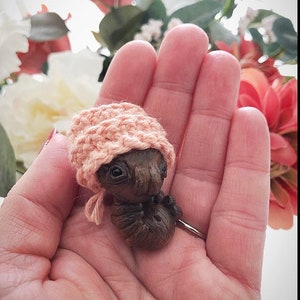 Little Baby-Spider With Beanie