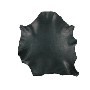 On skirt, in dipped lambskin, semi-matte, semi-shiny, black, strap attachments or buckles image 9