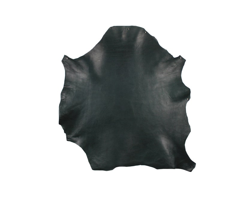 On skirt, in dipped lambskin, semi-matte, semi-shiny, black, strap attachments or buckles image 9