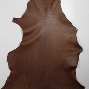 On skirt, in dipped lambskin, semi-matte, semi-shiny, black, strap attachments or buckles image 6