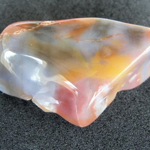 Polished Rainbow Petrified Wood Tumbled Stone from Arizona