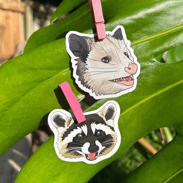 Trash Animal Vinyl Stickers | Raccoon | Opossum | Cowboy Hat | Bandit | Wash Bear | Possum | Marsupial