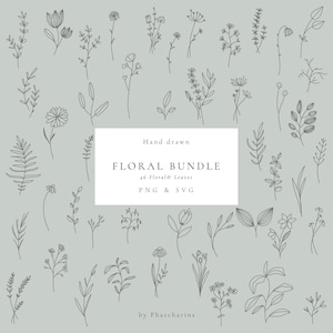 46 Clipart botanique, art botanique minimaliste de ligne, art floral sauvage de clip de ligne, handdrawn, éléments de conception, feuilles de fleurs sauvages, SVG et PNG
