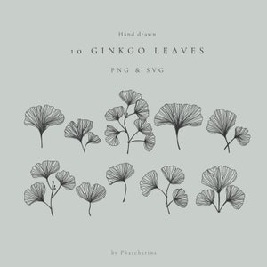 10 handgetekende Ginkgo Floral Clipart Svg Png - Botanische bundel - Ginkgo Clipart - Spring Svg Files - Tattoo Design