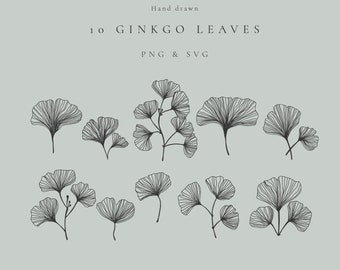 Top 100 Best Ginkgo Leaf Tattoos For Women  Leaves Design Ideas