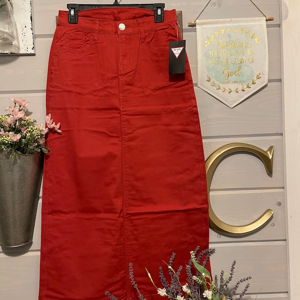 Long terra cotta colored skirt