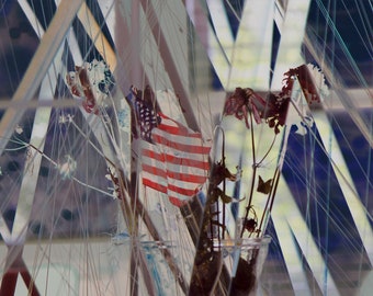 Entangled 8''x12'' photographic print photomontage American flag
