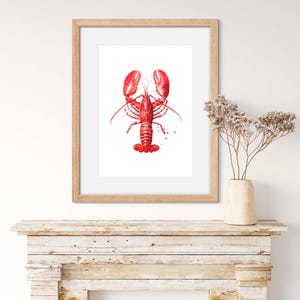 May include: A framed watercolor print featuring a vibrant red lobster centered on a white background. The artwork is encased in a light-toned wooden frame, showcasing detailed brushstrokes and paint splatters that define the crustacean's form.