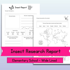 Insectenonderzoeksrapport, afdrukbaar werkblad voor bugstudie, natuuridentificatie, wetenschappelijke materialen voor kleuterschool basisschool