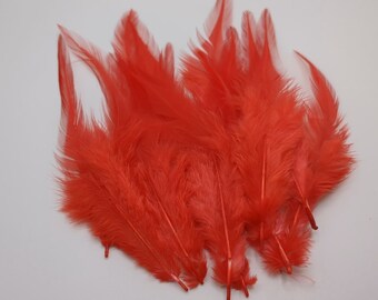 10 ou 50 plumes de coq rouge 10-15cm