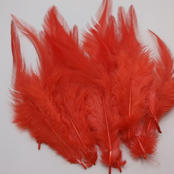 10 plumes de coq rouge 10-15cm