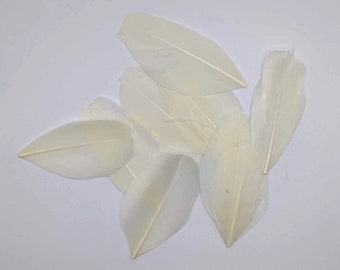10 plumes d'oie beige 5/8 cm