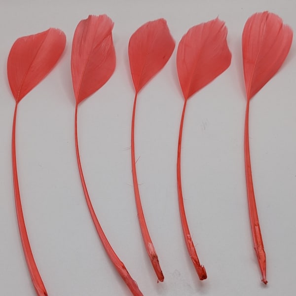 10 plumes  d'oie rouge orangé 15-20cm