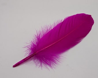 10 plumes d'oie fuchsia 15-20cm