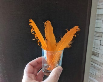 5 plumes d'oie orange 10-15cm