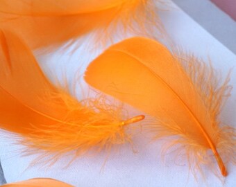 100 plumes d'oie 8-12cm orange