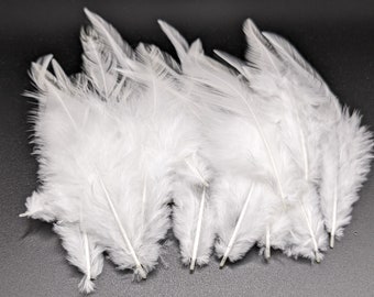 10 ou 50 plumes de coq blanche 8-15cm