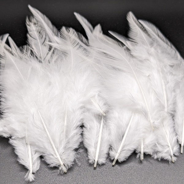 10 ou 50 plumes de coq blanche 8-15cm