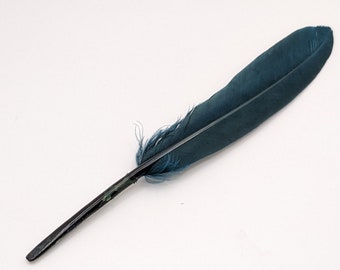 10 plumes d'oie bleu 10-15cm