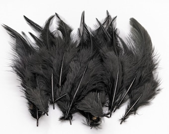 10 ou 50 plumes de coq noir 8-15cm