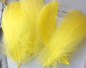 100 plumes d'oie 8-12cm jaune