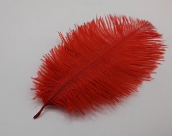 1 ou 10 plumes d'autruche rouge 12-20cm