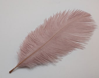 10 plumes d'autruche vieux rose 12-20cm