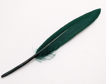 10 plumes d'oie vert foncé 10/15 cm