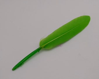 10 plumes d'oie verte 10-15cm