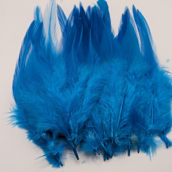 10 ou 50 plumes de coq  bleu turquoise 8-15cm