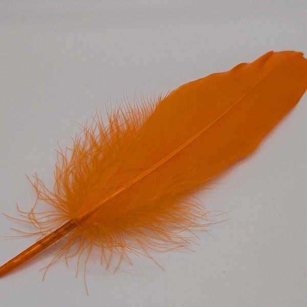 10 plumes d'oie orange 15-20cm