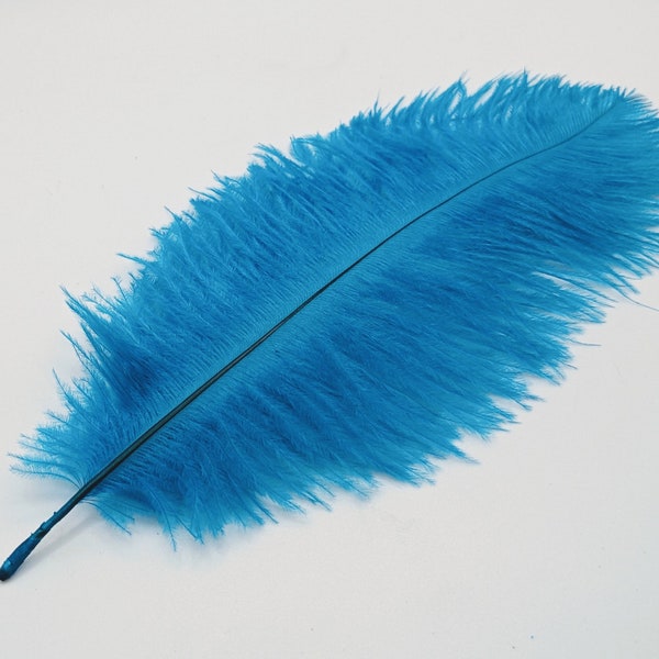 1 plume d'autruche bleu turquoise 12-20cm