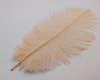 1 ou 10 plumes d'autruche champagne 12-20cm