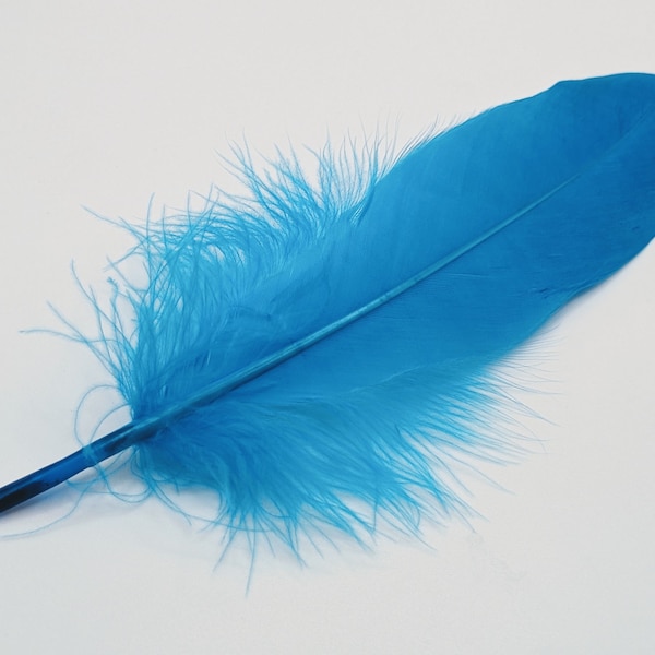 10 plumes d'oie bleu turquoise 15-20cm