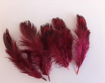 10 ou 50 plumes de faisan bordeaux 2-8cm