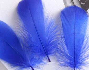 100 plumes d'oie 4-8cm bleu